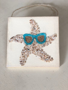 T1571 tiny shell starfish with sunnies