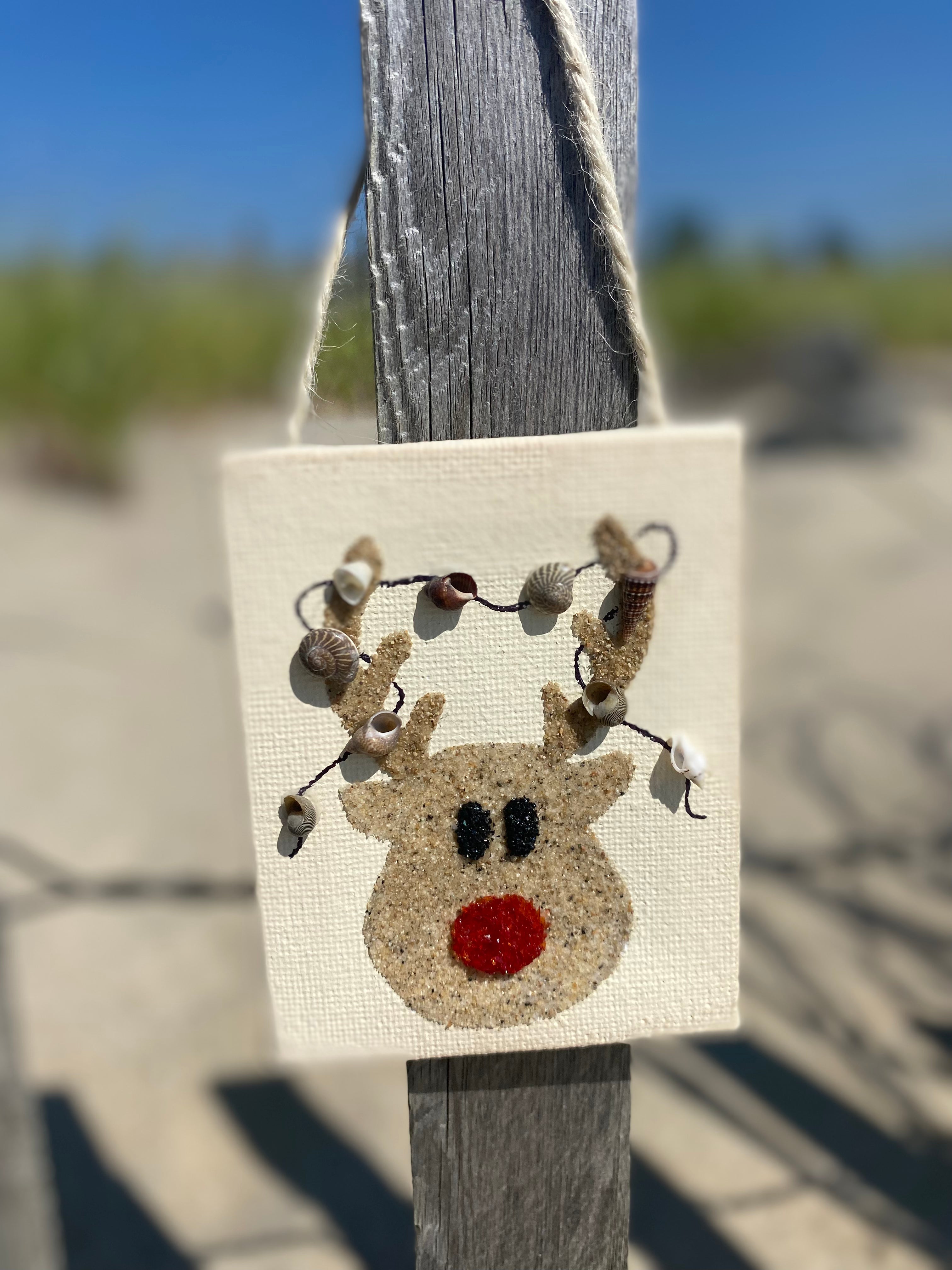 T3067 Rudolph with shell garland