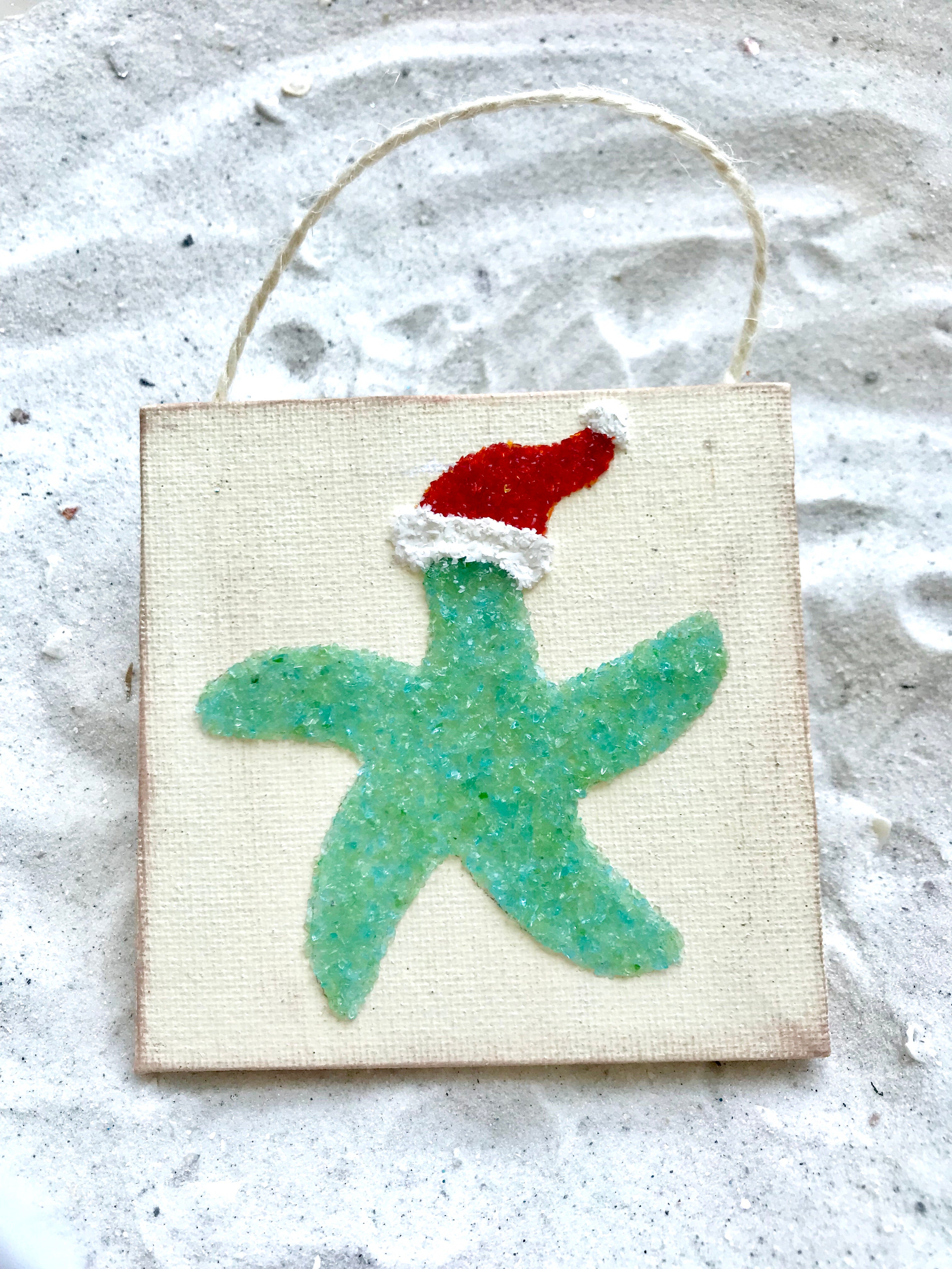 Starfish Santa Hat item #1491