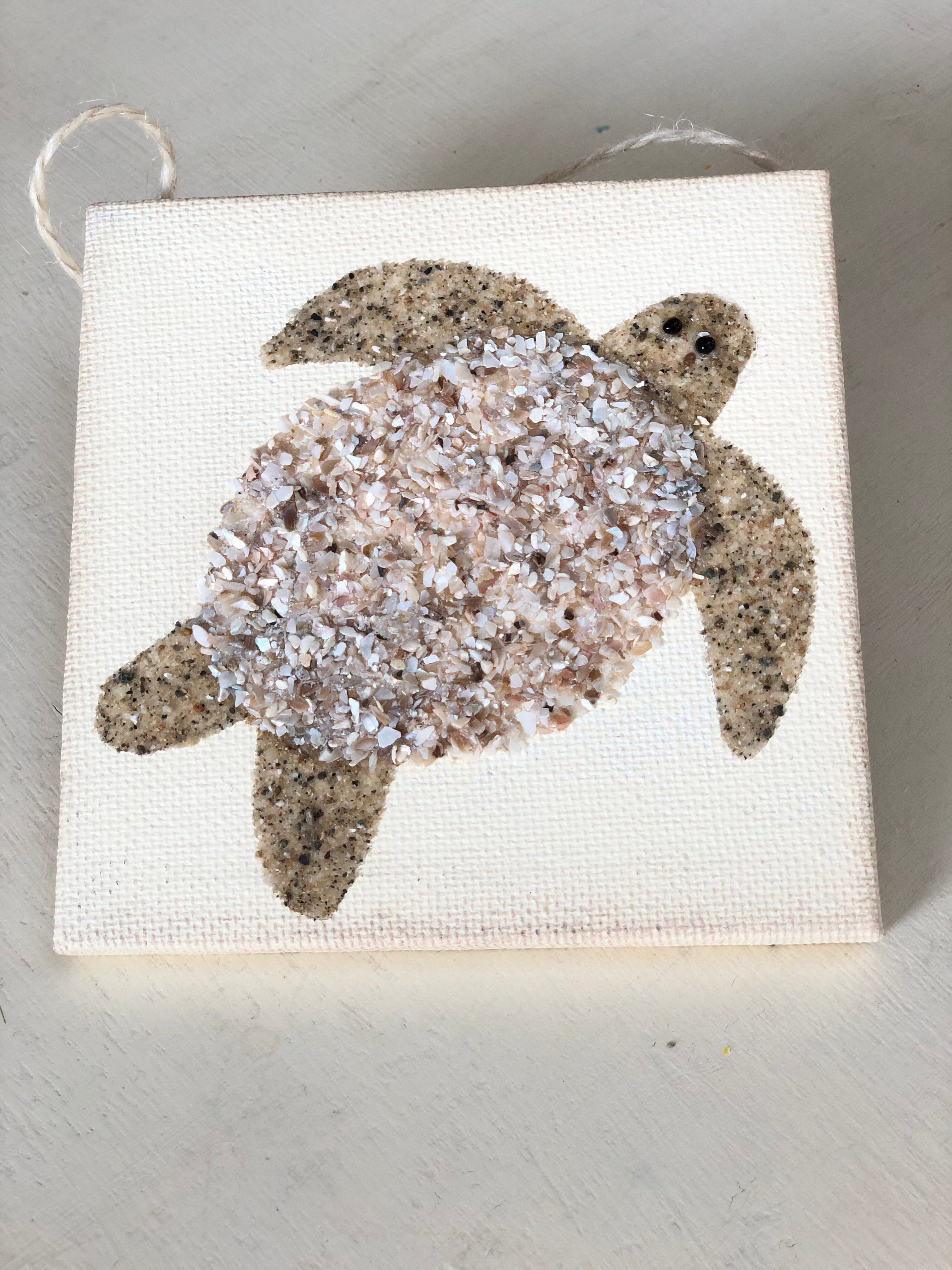 T1572 turtle tiny shell/sand