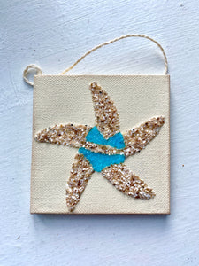 T1581 tiny shell starfish with aqua bikini